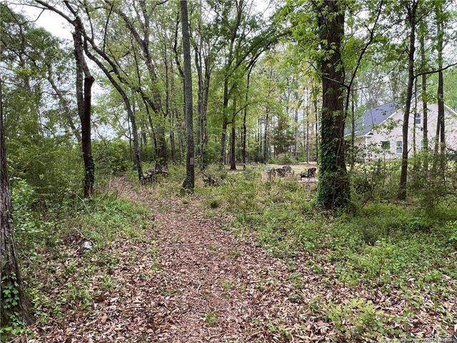 8321 Whitewood Court, Linden, NC 28356