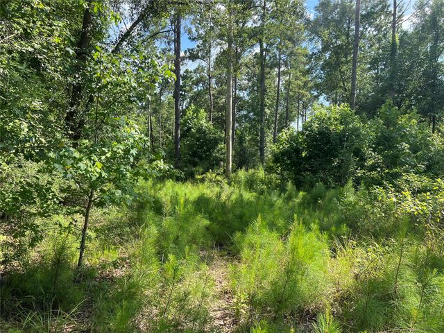 Lot 25 Rolling Pines Drive, Livingston, TX 77351