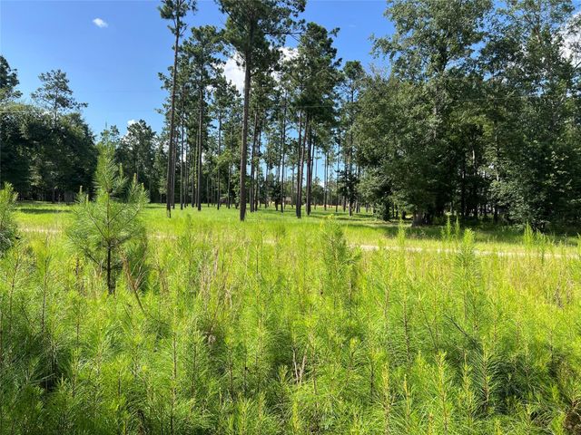 Lot 25 Rolling Pines Drive, Livingston, TX 77351