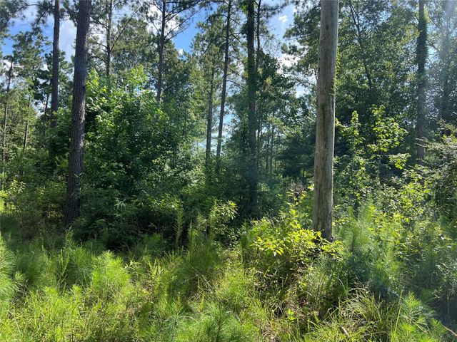 Lot 25 Rolling Pines Drive, Livingston, TX 77351
