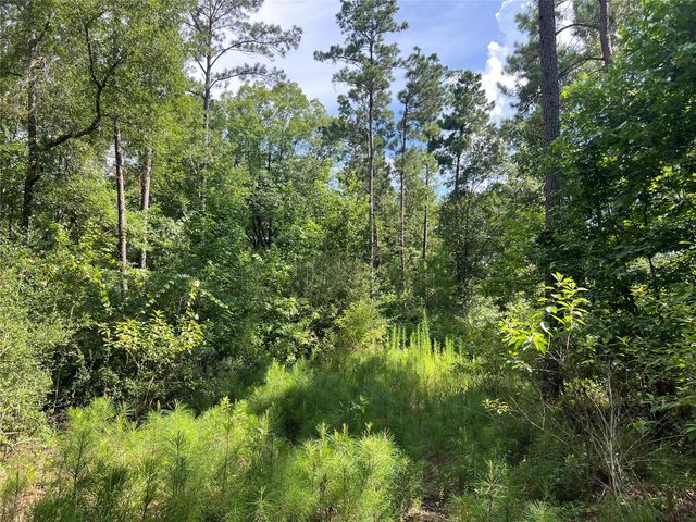 Lot 25 Rolling Pines Drive, Livingston, TX 77351