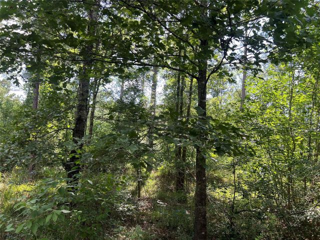 Lot 25 Rolling Pines Drive, Livingston, TX 77351