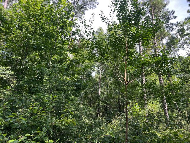 Lot 25 Rolling Pines Drive, Livingston, TX 77351