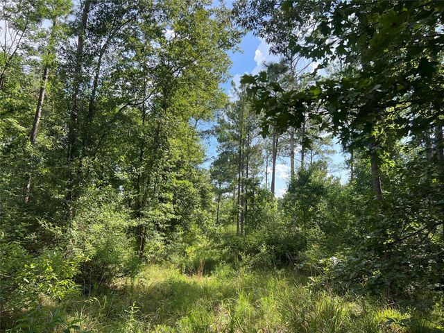 Lot 25 Rolling Pines Drive, Livingston, TX 77351