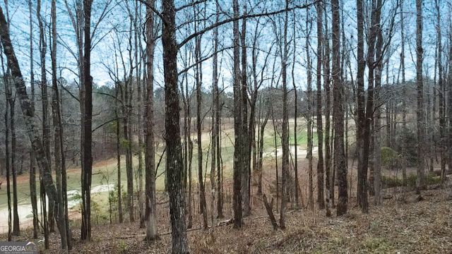 109 River Forest Drive, Forsyth, GA 31029