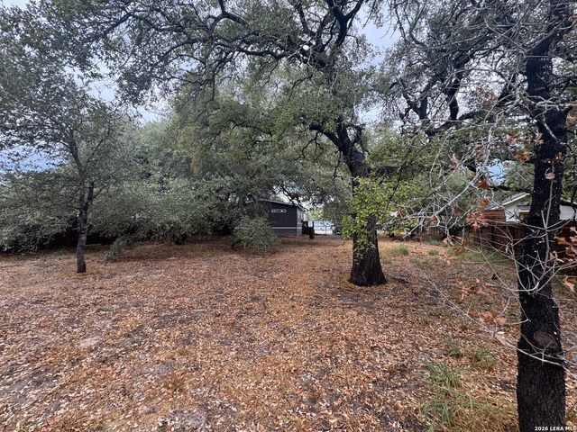 4406 Lost Hills Dr, Elmendorf, TX 78112