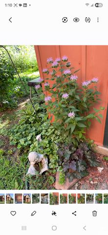 506 S Campbell Street, Abilene, KS 67410