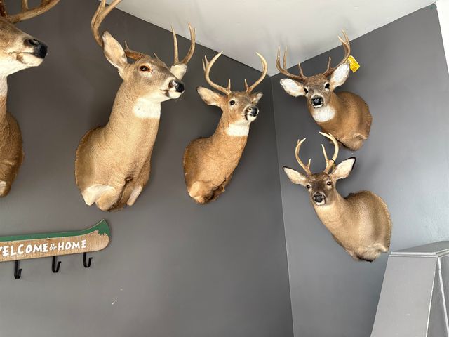 16501 Gary Road, Chesaning, MI 48616