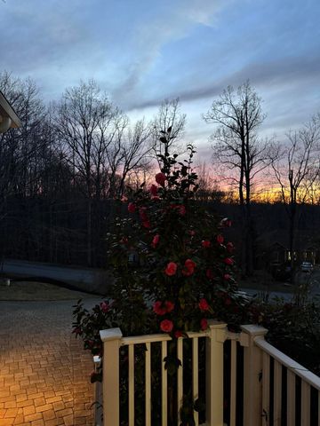 100 Waterside DR, Moneta, VA 24121
