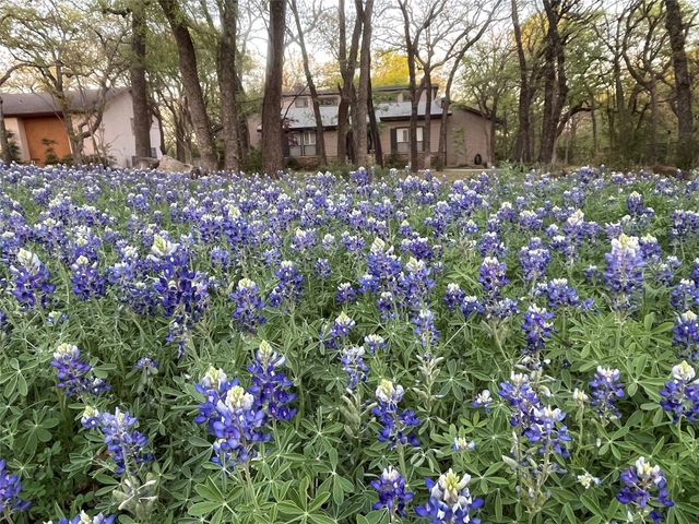3667 Green Meadow Lane, Flower Mound, TX 75022