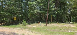 0 Blanks Bend Road Road, Coldspring, TX 77331