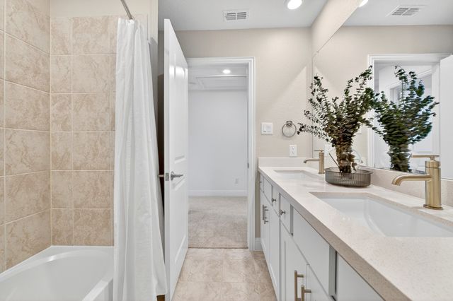 407 Cherry Laurel Drive, Little Elm, TX 75068