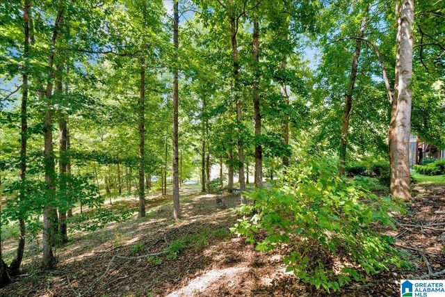 310 DEER RIDGE LANE, Chelsea, AL 35043