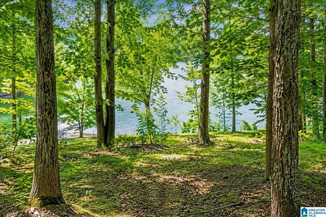 310 DEER RIDGE LANE, Chelsea, AL 35043