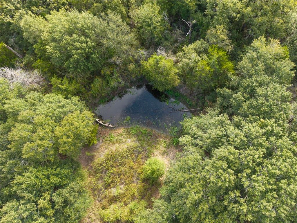 430 Pin Oak Drive, Somerville, TX 77879 — photo 4