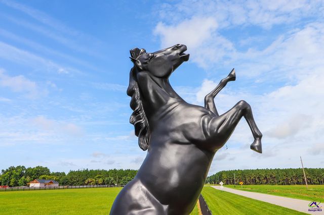 1603 Boutwell Road, Perry, GA 31069