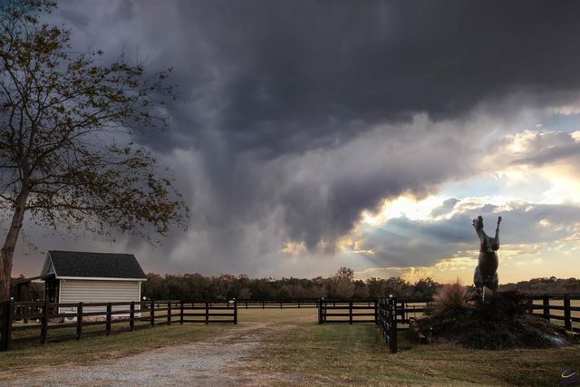 1603 Boutwell Road, Perry, GA 31069