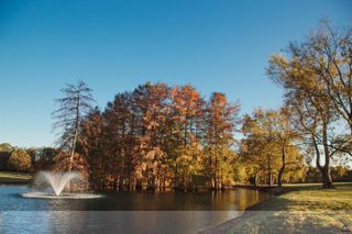 1603 Boutwell Road, Perry, GA 31069