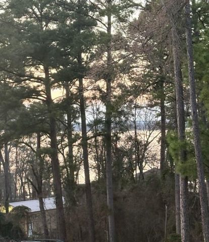 20847 Lakeview Dr, Flint, TX 75762