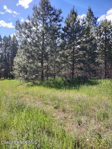 Lot 1 Champs Rd, Bonners Ferry, ID 83805