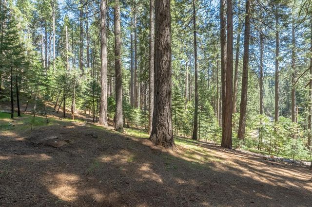 1539 Pebble Beach Way, Arnold, CA 95223