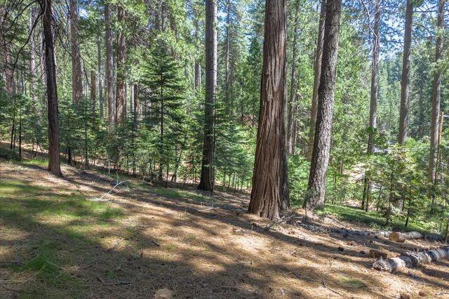 1539 Pebble Beach Way, Arnold, CA 95223