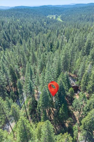 1539 Pebble Beach Way, Arnold, CA 95223