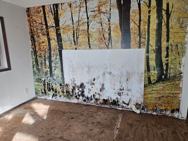 44 Belle Haven, Galena, MO 65656