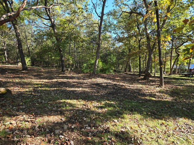 44 Belle Haven, Galena, MO 65656