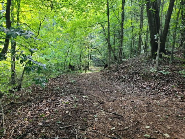 339 County Road 61, Riceville, TN 37370