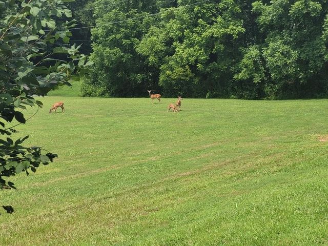 339 County Road 61, Riceville, TN 37370