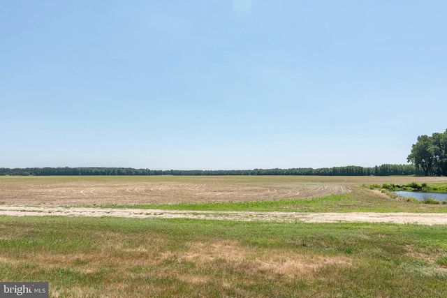 4657 MAIDEN FOREST RD, Rhodesdale, MD 21659