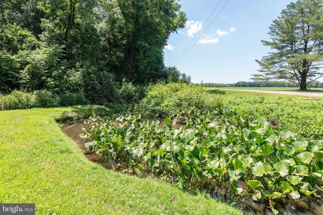 4657 MAIDEN FOREST RD, Rhodesdale, MD 21659