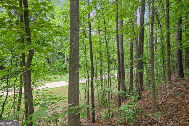 1971 Silver Birch Drive SE, Smyrna, GA 30080