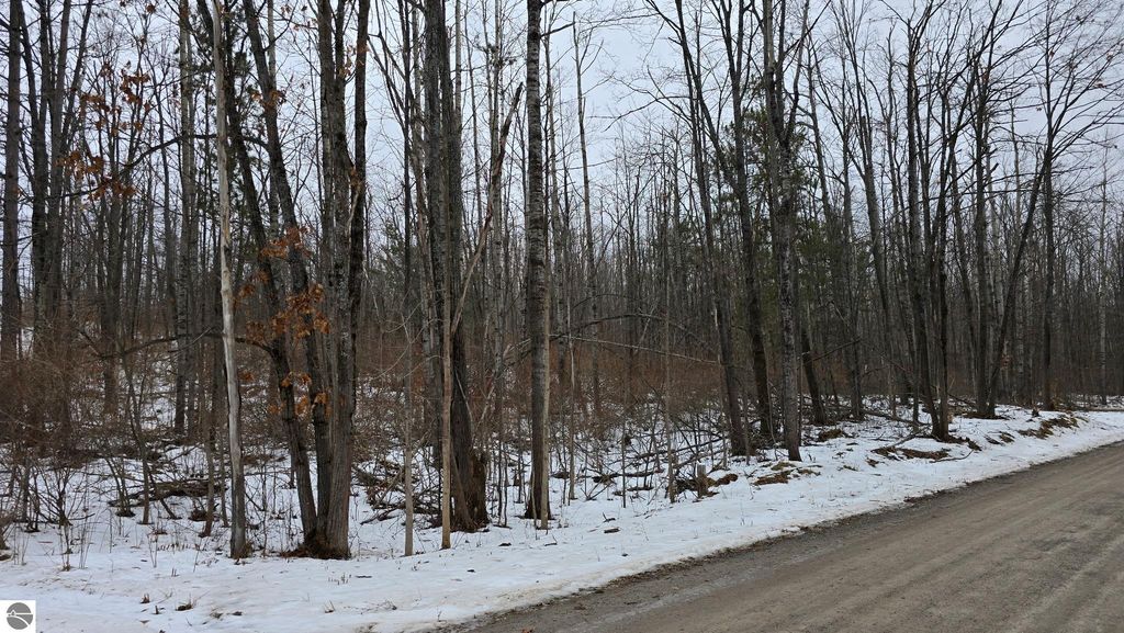 Image 2 of property listing at 13384 Bartz Road, Hubbard Lake, MI 49747