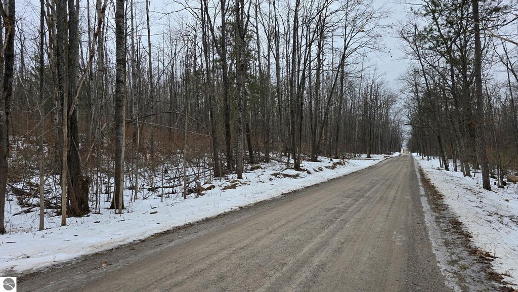 Image 3 of property listing at 13384 Bartz Road, Hubbard Lake, MI 49747