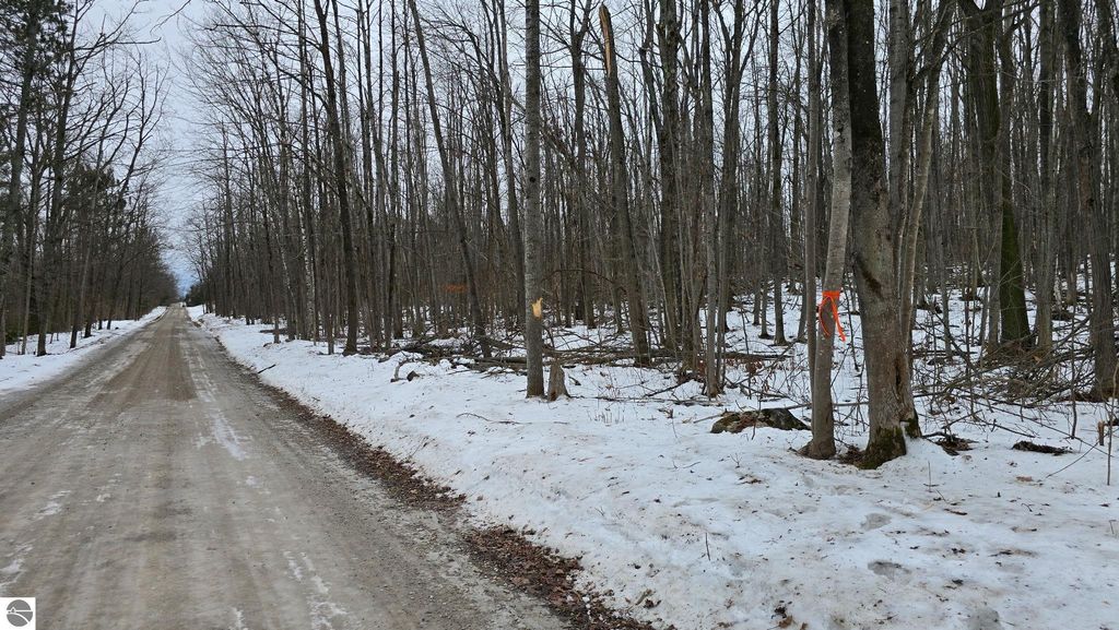 Image 4 of property listing at 13384 Bartz Road, Hubbard Lake, MI 49747