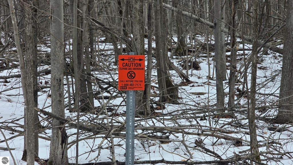 Image 5 of property listing at 13384 Bartz Road, Hubbard Lake, MI 49747