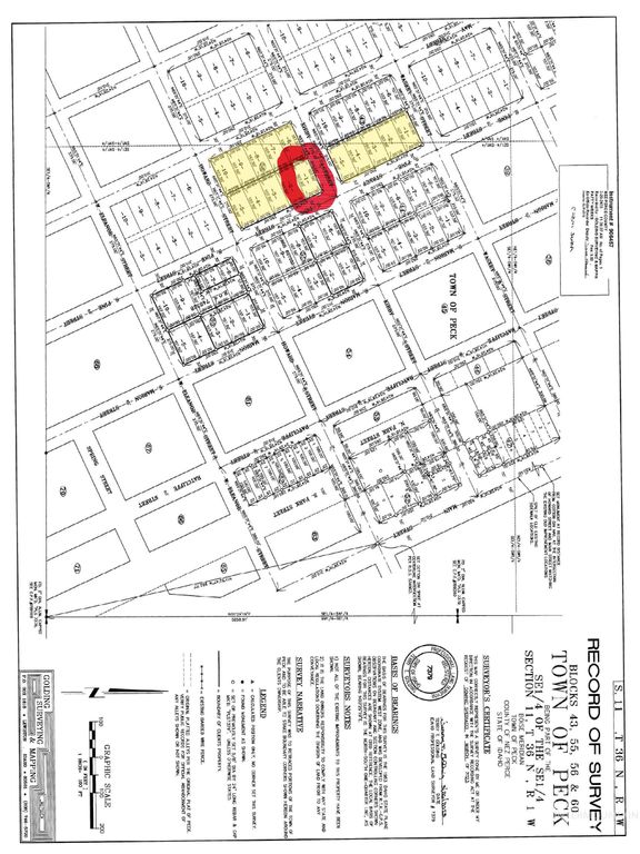 TBD Pine St Blk 56, Lot 1, Peck, ID 83545 photo 2