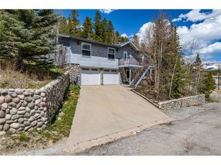 1803 Ridgeview Dr, Leadville, CO 80461