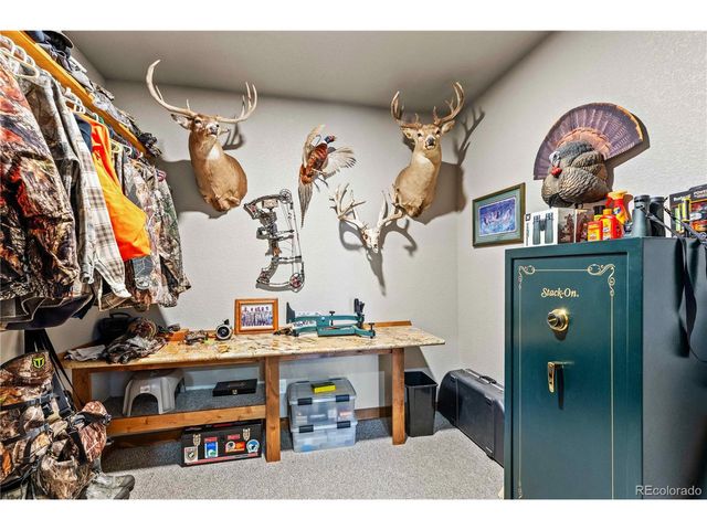 1310 Sunrise Rdg, Cotopaxi, CO 81223