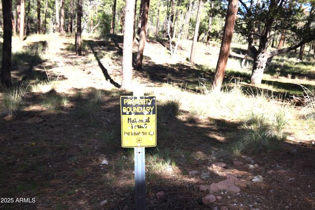 8742 W TONTO RIM Drive, Pine, AZ 85544