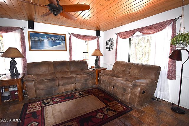 8742 W TONTO RIM Drive, Pine, AZ 85544