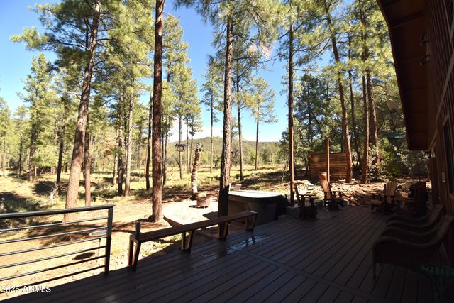 8742 W TONTO RIM Drive, Pine, AZ 85544