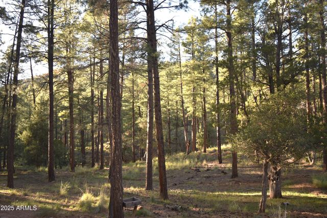 8742 W TONTO RIM Drive, Pine, AZ 85544