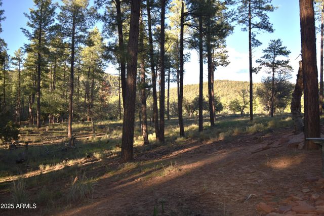 8742 W TONTO RIM Drive, Pine, AZ 85544