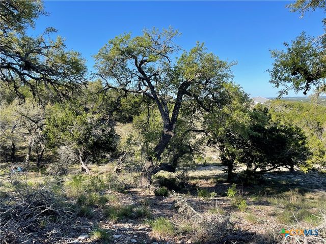 838 Rutherford, Fischer, TX 78623