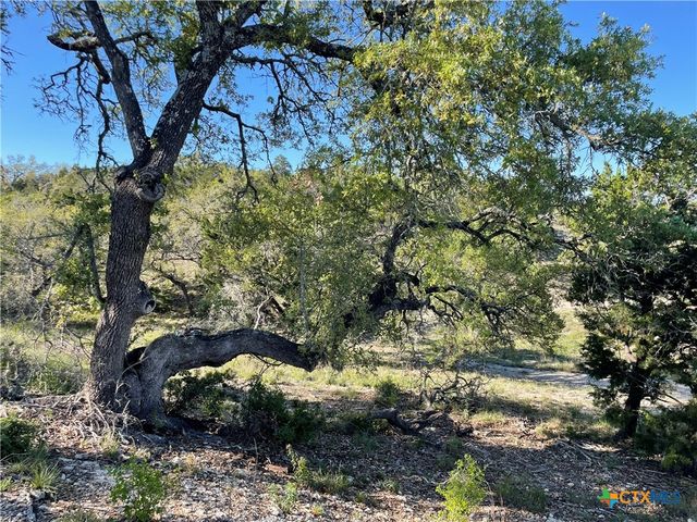 838 Rutherford, Fischer, TX 78623