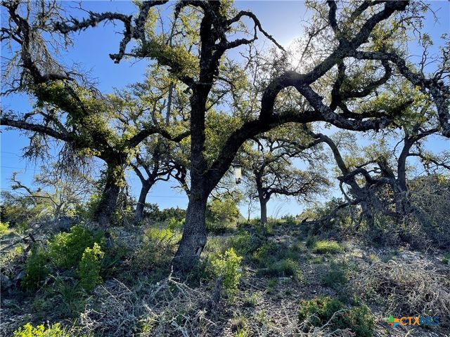 838 Rutherford, Fischer, TX 78623