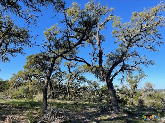838 Rutherford, Fischer, TX 78623